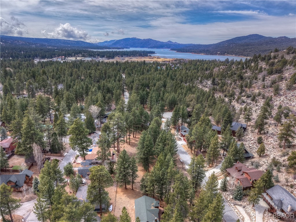 42543 Gold Rush Property Photo 7