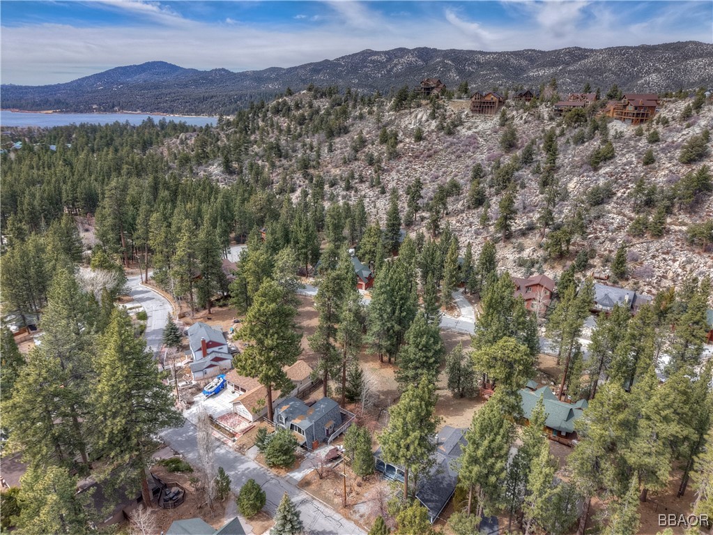 42543 Gold Rush Property Photo 8