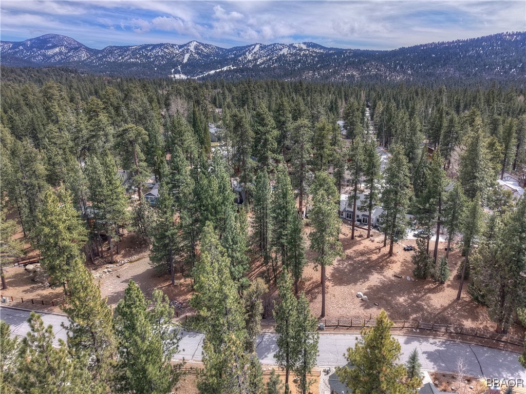 42543 Gold Rush Property Photo 10
