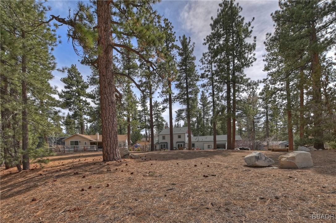 42543 Gold Rush Property Photo 12
