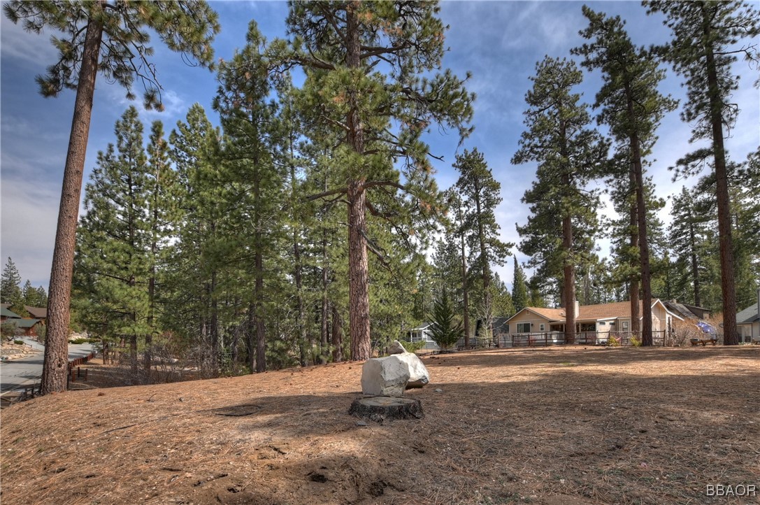 42543 Gold Rush Property Photo 13