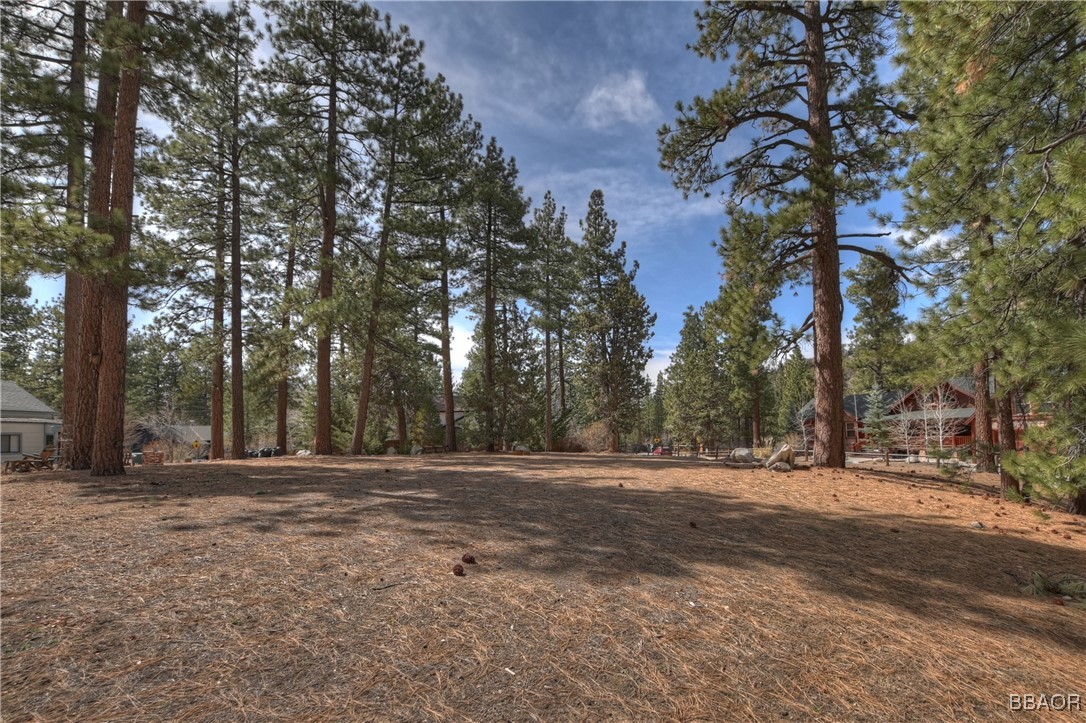 42543 Gold Rush Property Photo 17