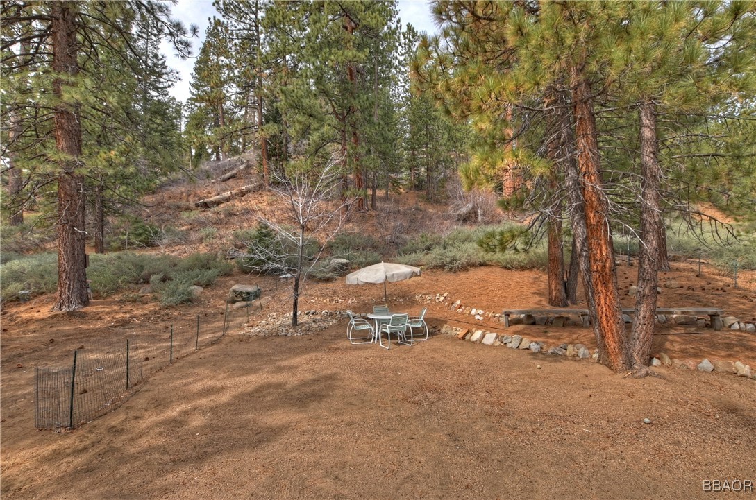 39128 North Shore Property Photo 49