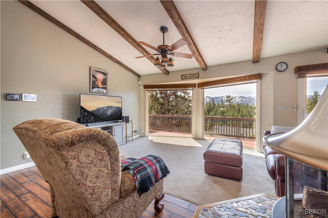 1159 Green Mountain Drive Property Photo 4