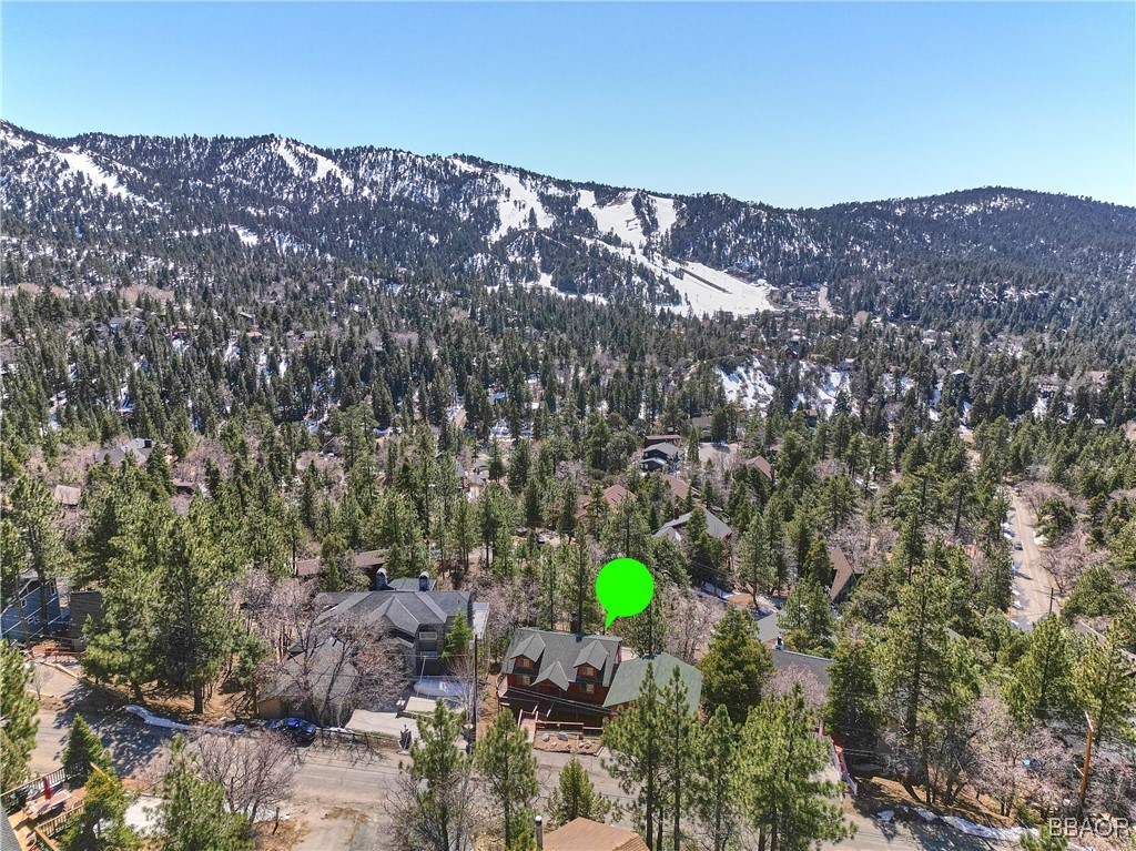 43669 Wolf Road Property Photo 4