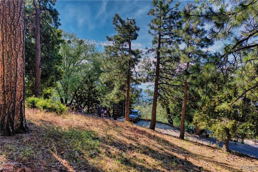 Lot 246 Ferndale Dr Property Photo 3