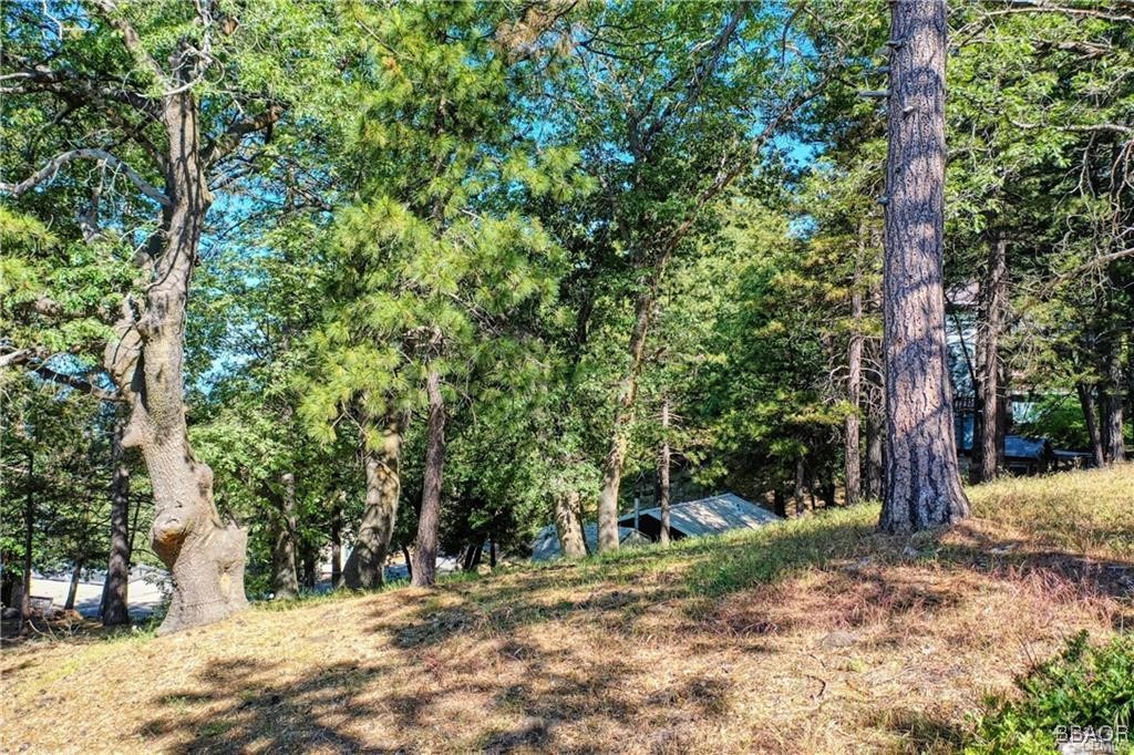Lot 246 Ferndale Dr Property Photo 4