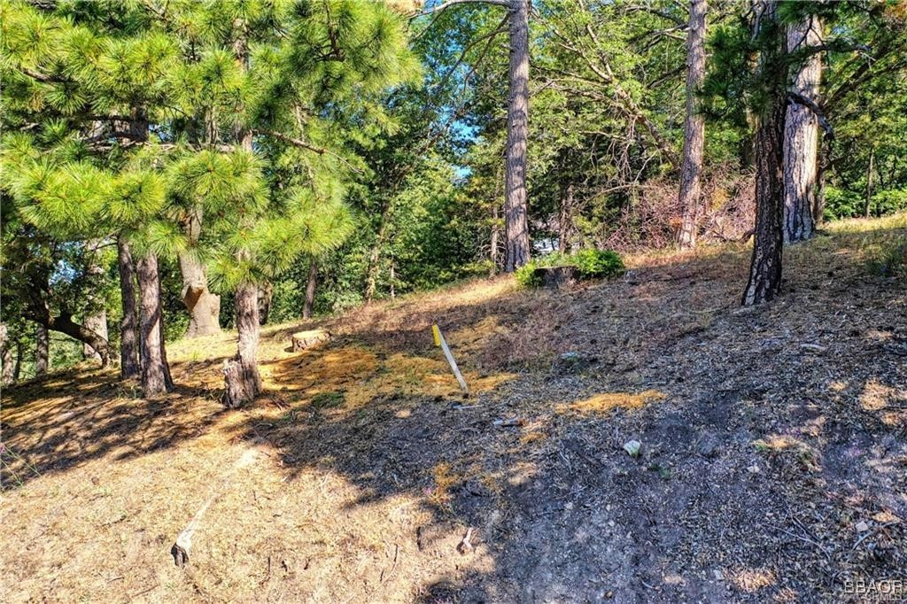 Lot 246 Ferndale Dr Property Photo 5