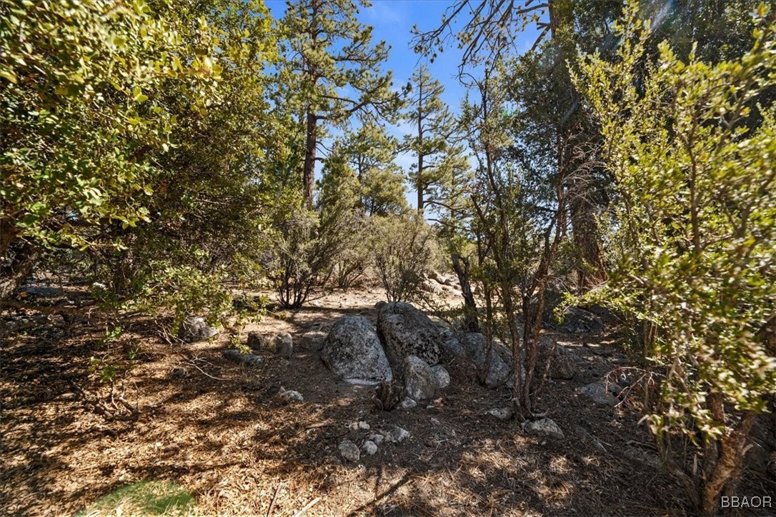 44 Lakeview Tract Property Photo 27