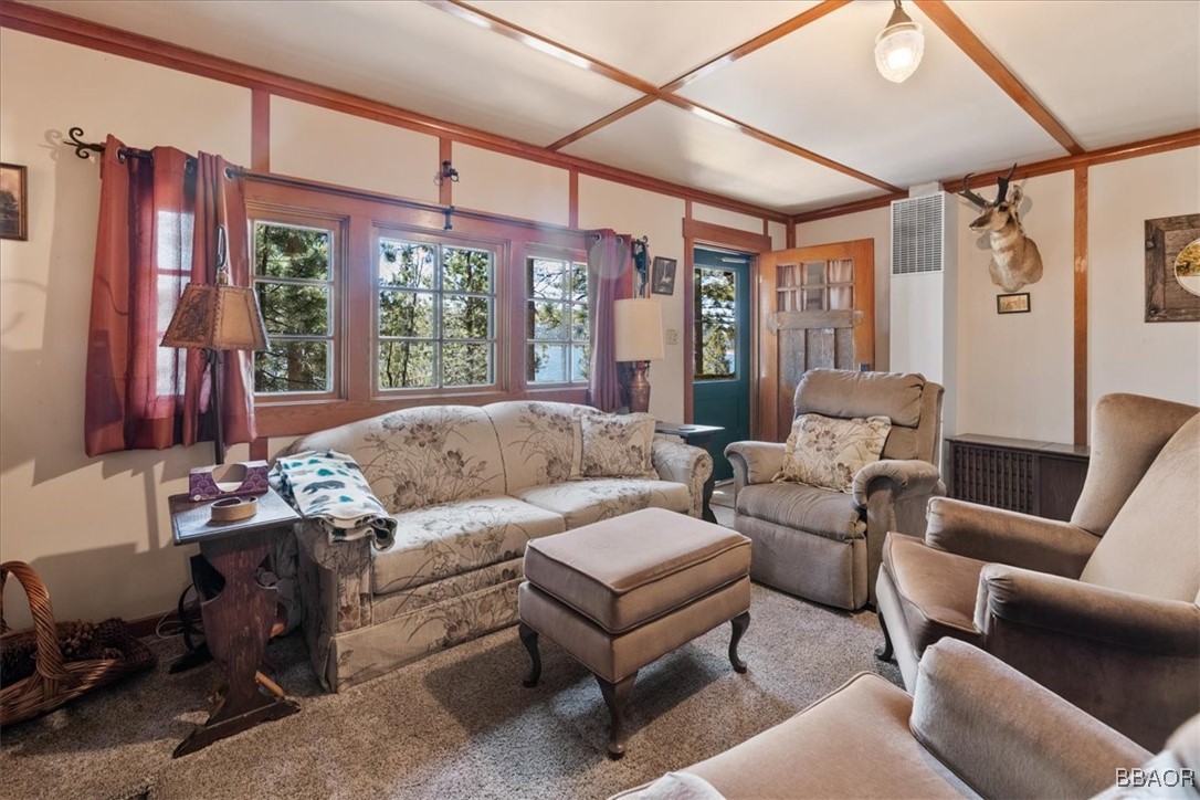 320 Big Bear Trail Property Photo 6