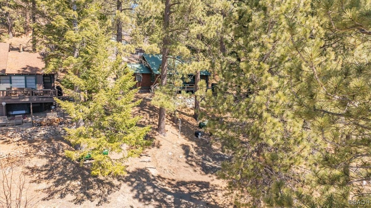 320 Big Bear Trail Property Photo 27