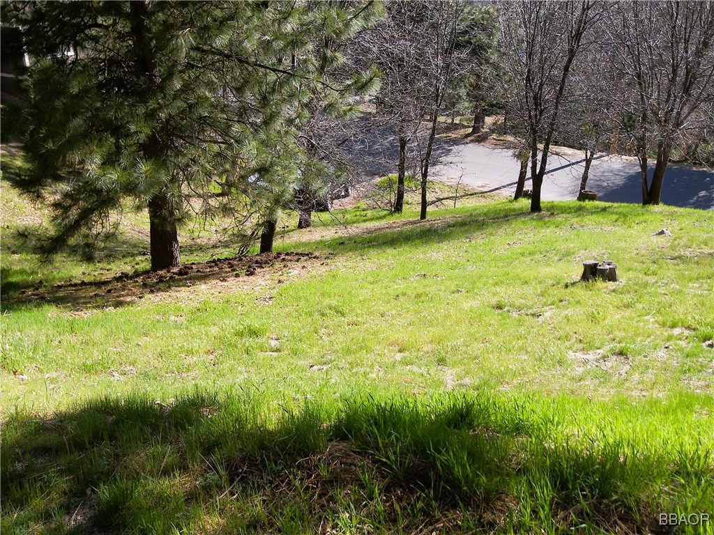 000 St Bernard Lane Property Photo 1