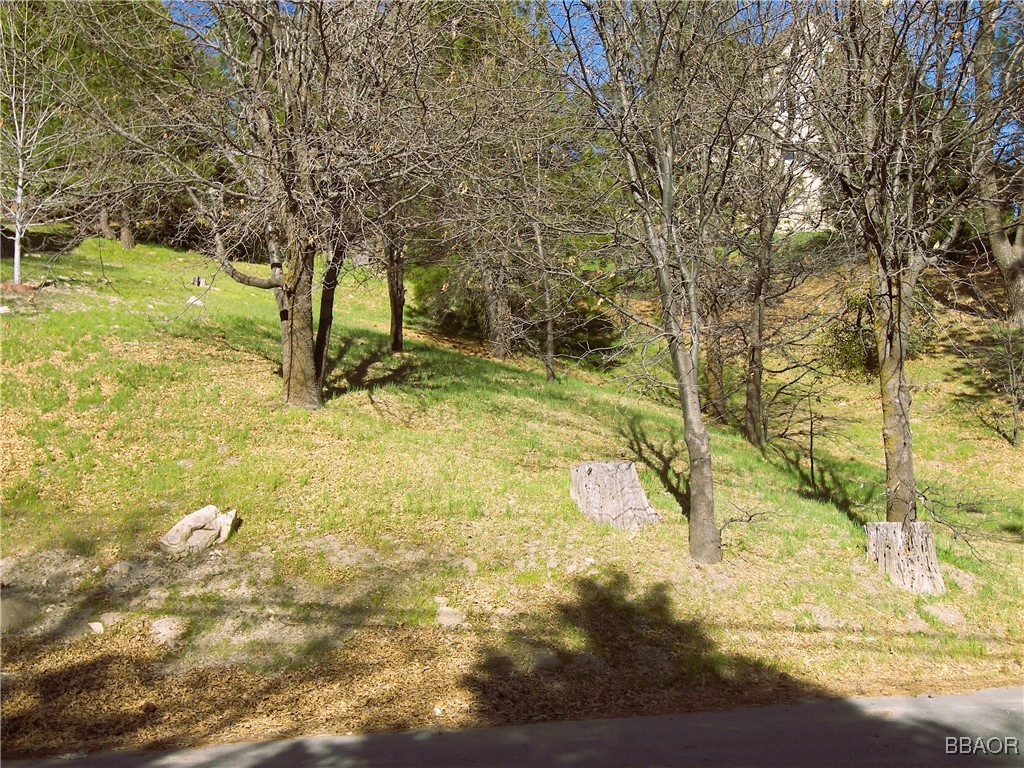 000 St Bernard Lane Property Photo 6