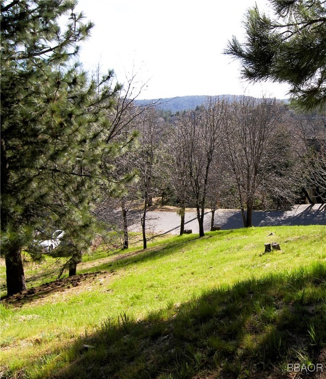 000 St Bernard Lane Property Photo 11