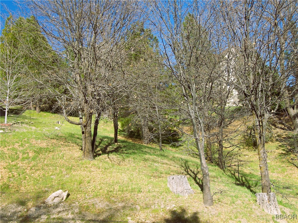 000 St Bernard Lane Property Photo 12