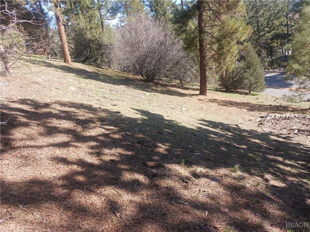 0 Big Bear Blvd Property Photo 1