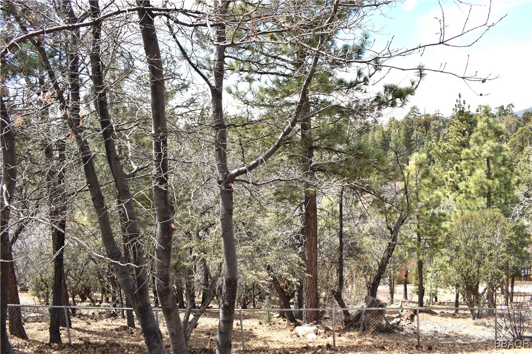442 Inyo Avenue Property Photo 36