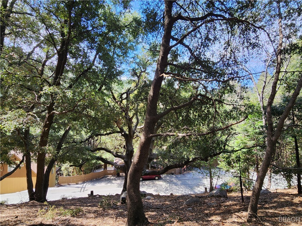 0 Arbula Drive Property Photo