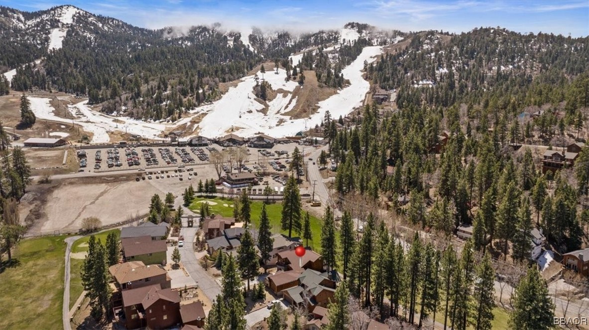 1215 Wolf Creek Court Property Photo 7