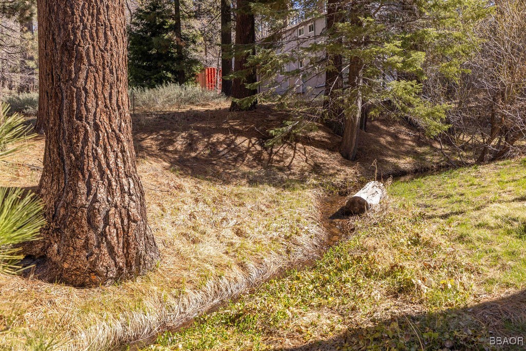 33794 Meadow Lane Property Photo 20