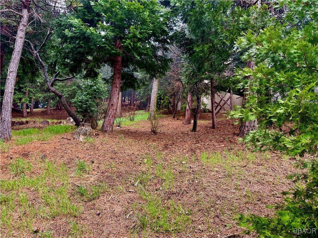 Lot 46 Tract 4297 Bernard Drive Property Photo