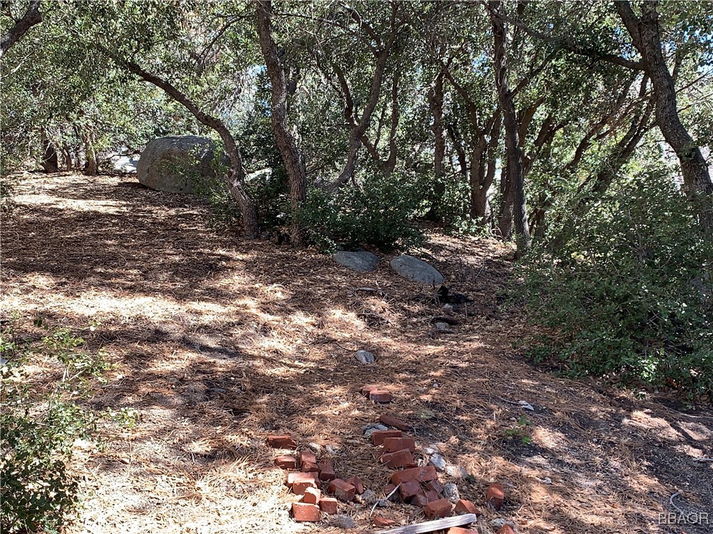 33010 Juniper Lane Property Photo 12