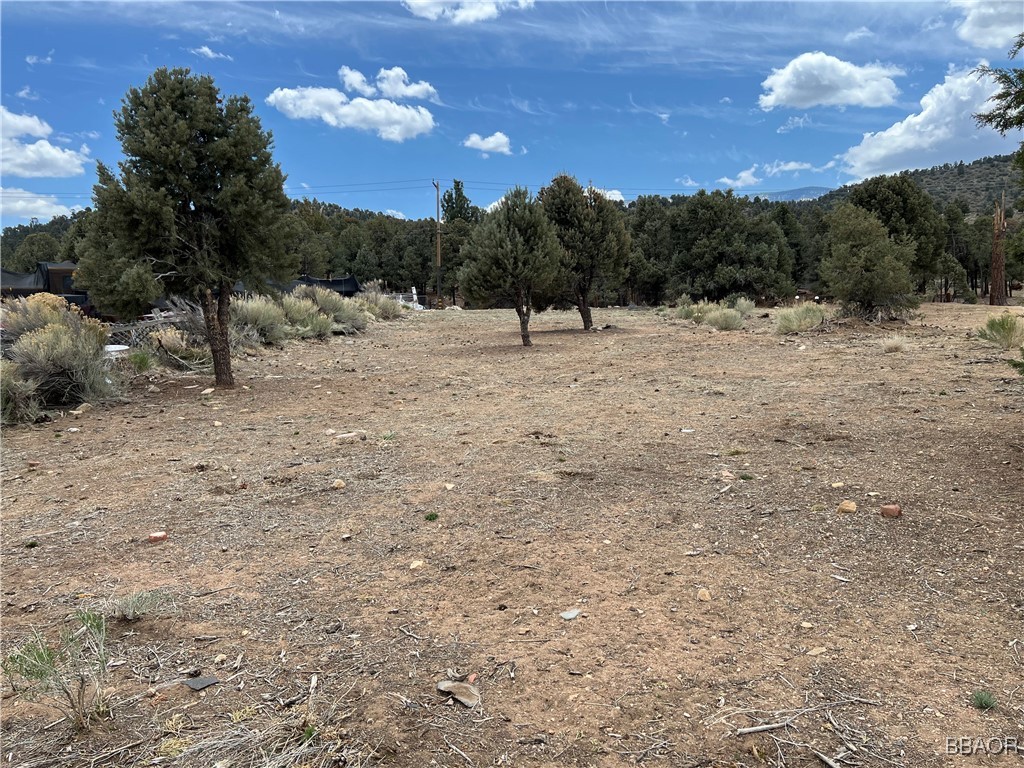 0 Arastre Road Property Photo 1