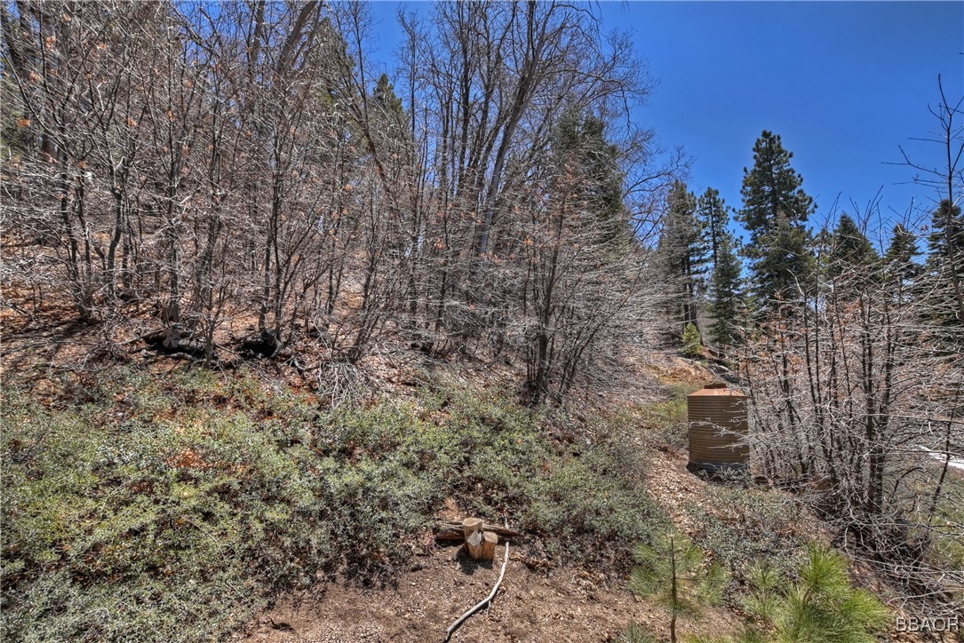 33653 Green Valley Lane Property Photo 29