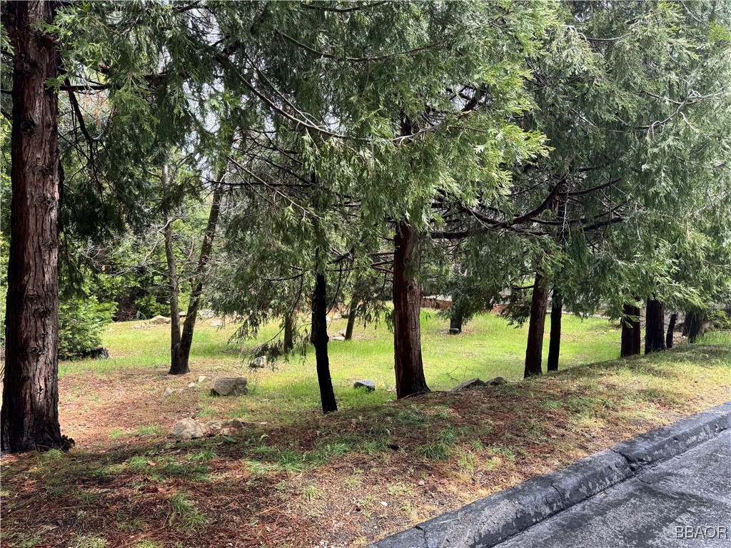 27525 Meadow Bay Drive Property Photo 3