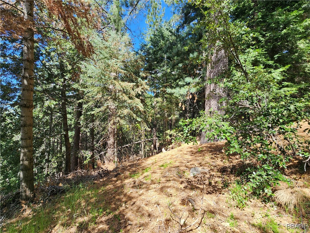 0 Basel Drive Property Photo 16