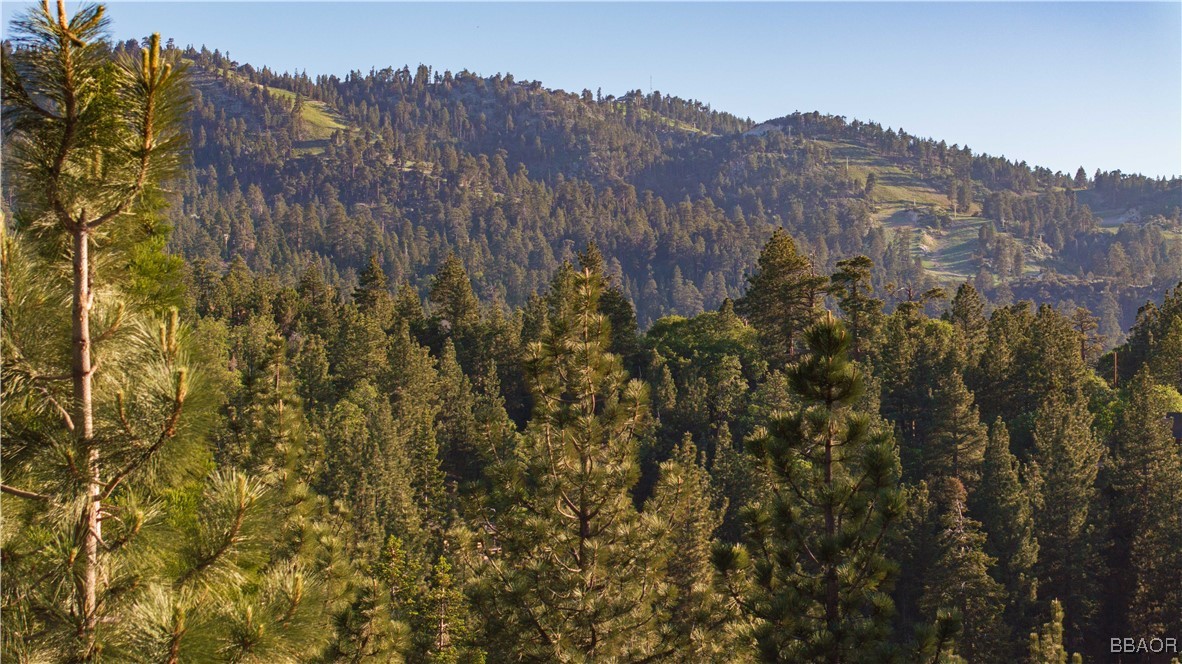 43811 Canyon Crest Drive Property Photo 4