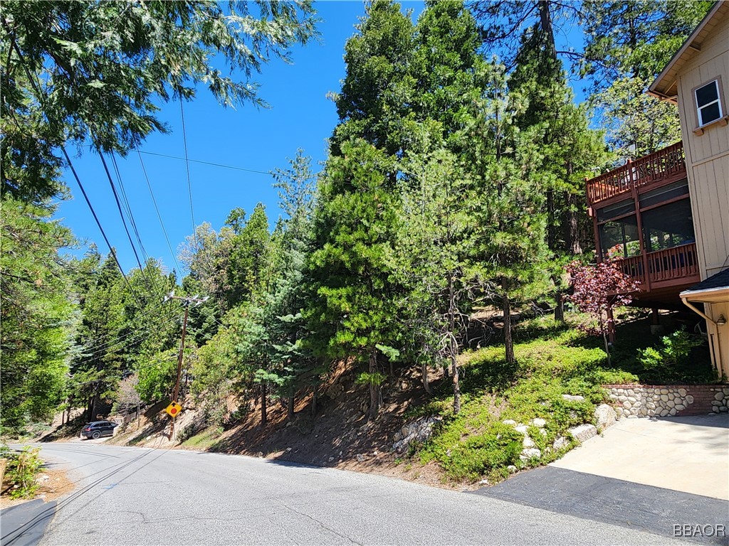 0 Grizzly Road Property Photo 1