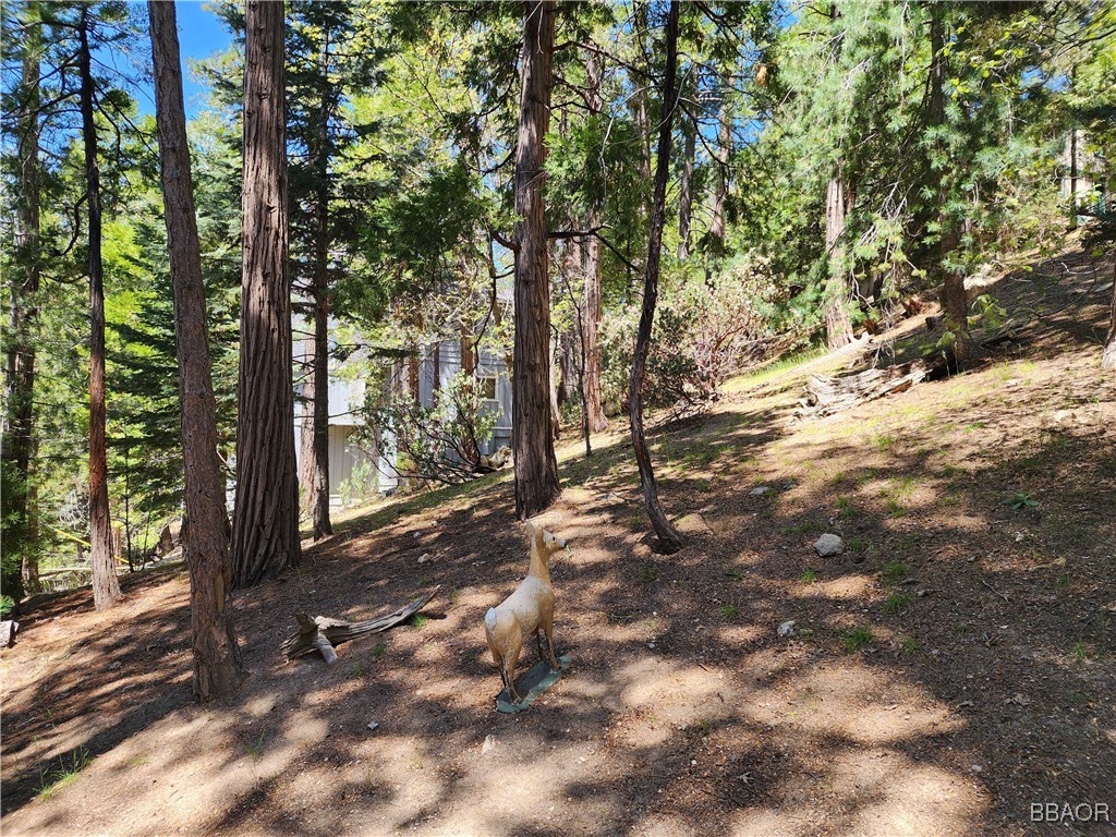 0 Grizzly Road Property Photo 6
