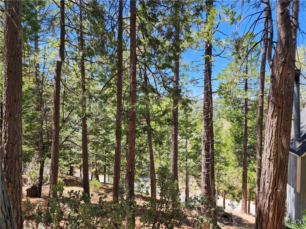 0 Grizzly Road Property Photo 8