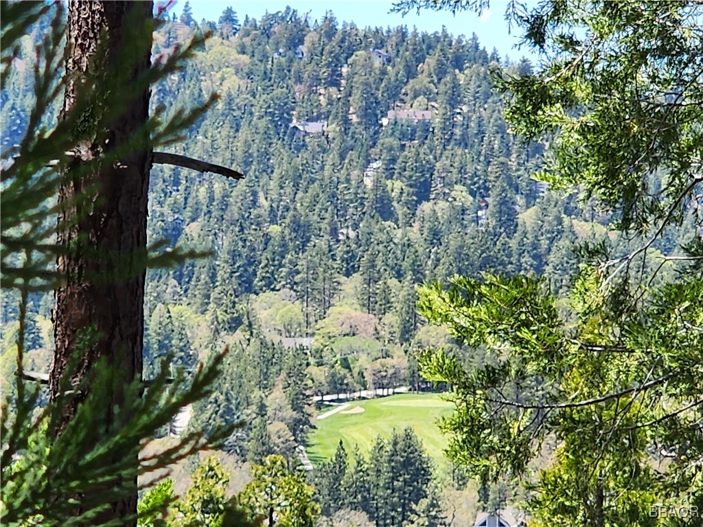 0 Grizzly Road Property Photo 9