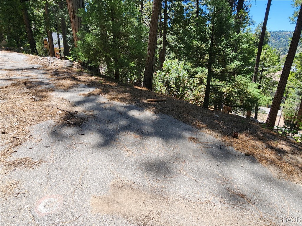 0 Grizzly Road Property Photo 14