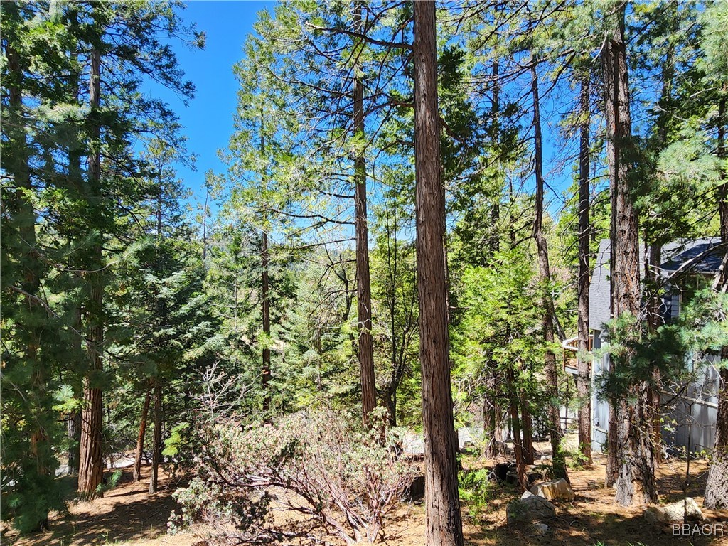 0 Grizzly Road Property Photo 16