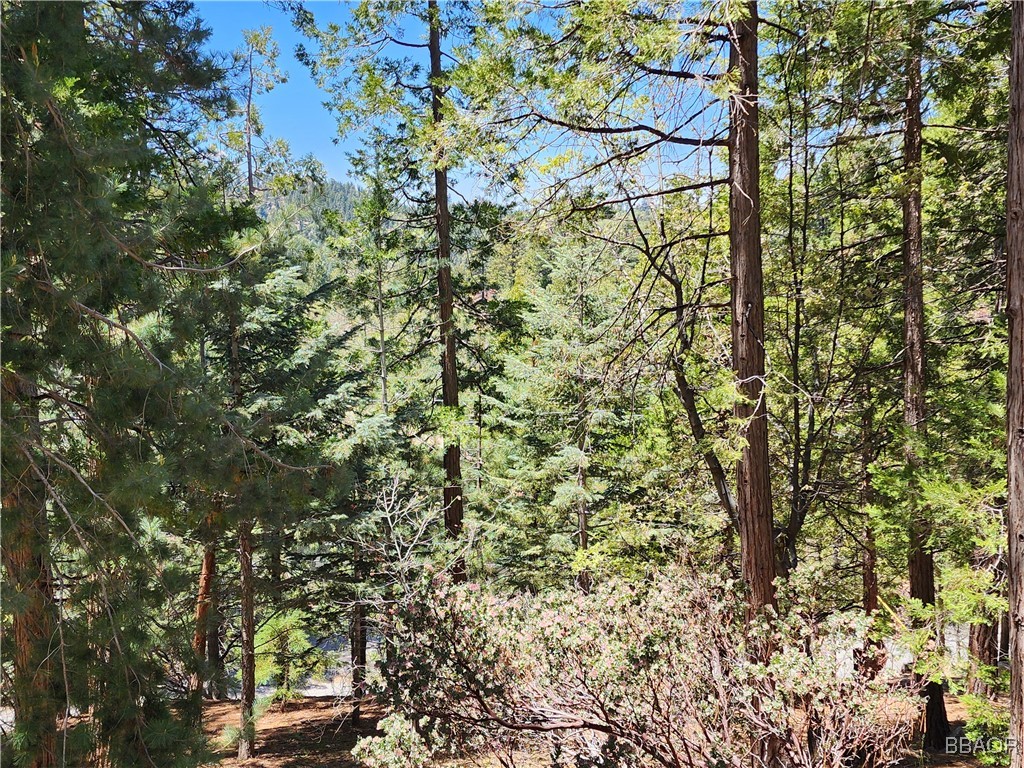 0 Grizzly Road Property Photo 17