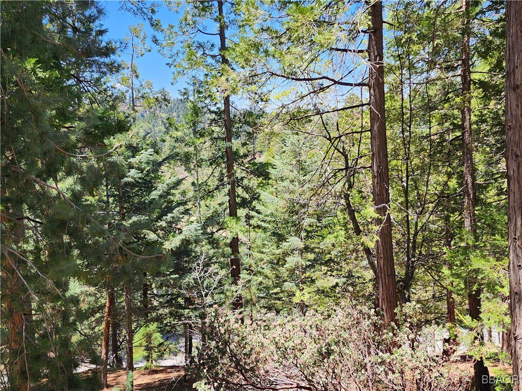 0 Grizzly Road Property Photo 18