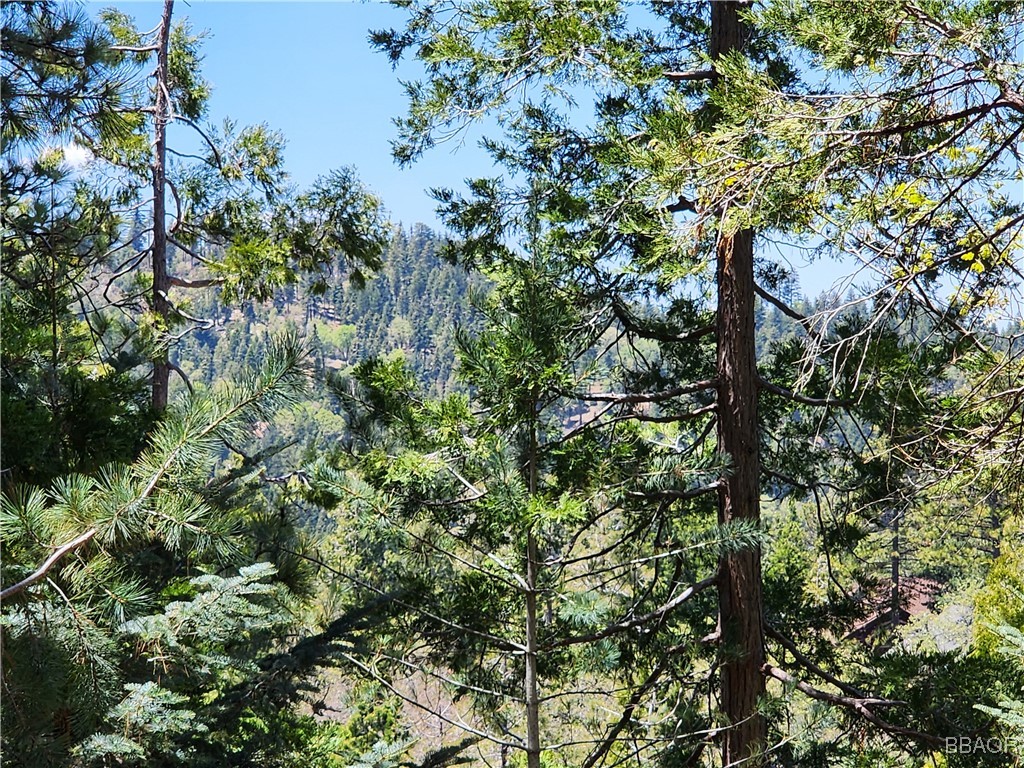 0 Grizzly Road Property Photo 19