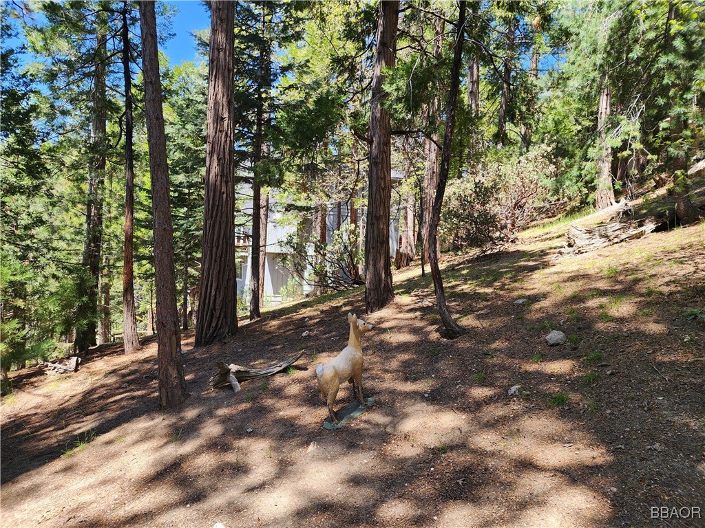 0 Grizzly Road Property Photo 20
