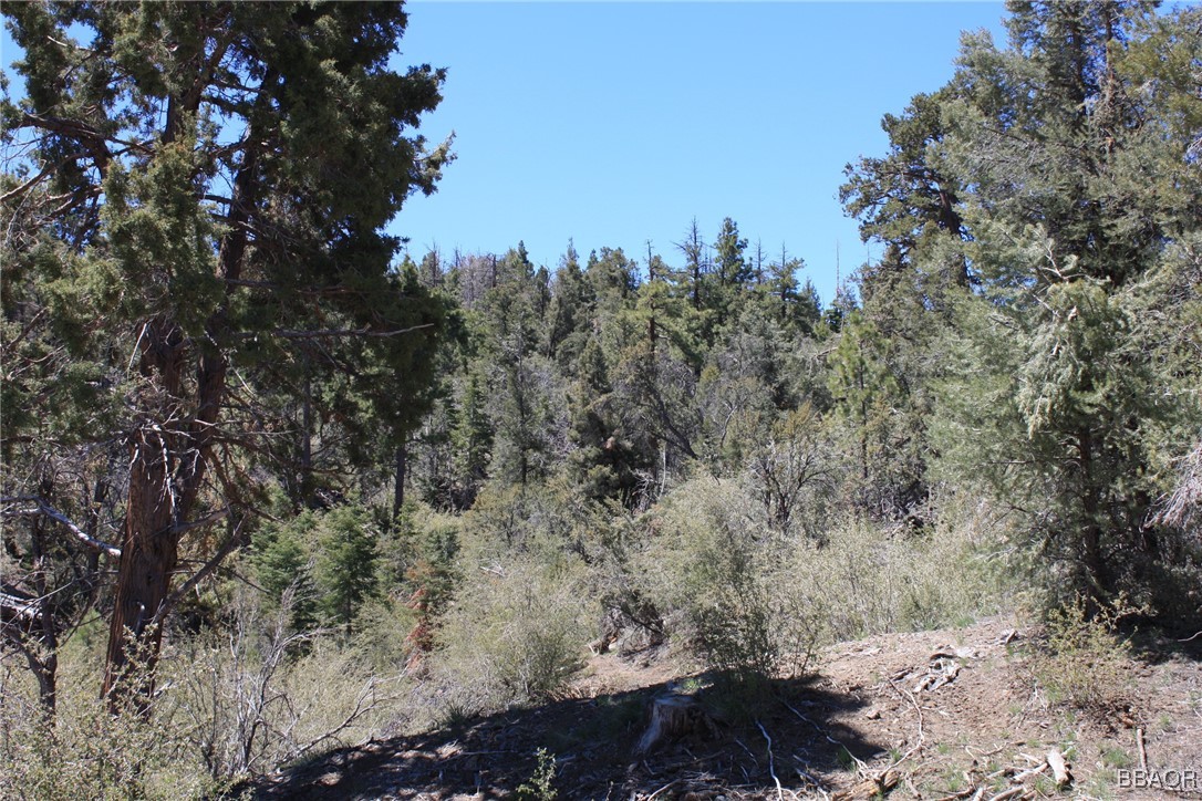 615 Kean Way Property Photo 10