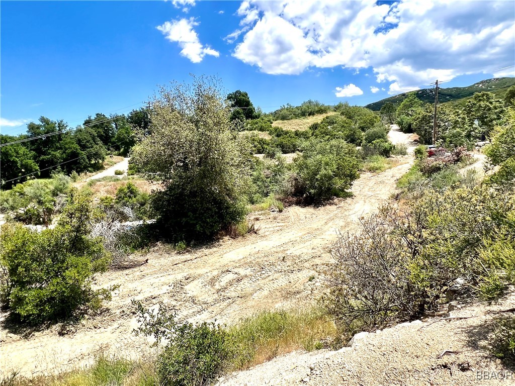 45902 Lynx Street Property Photo 6