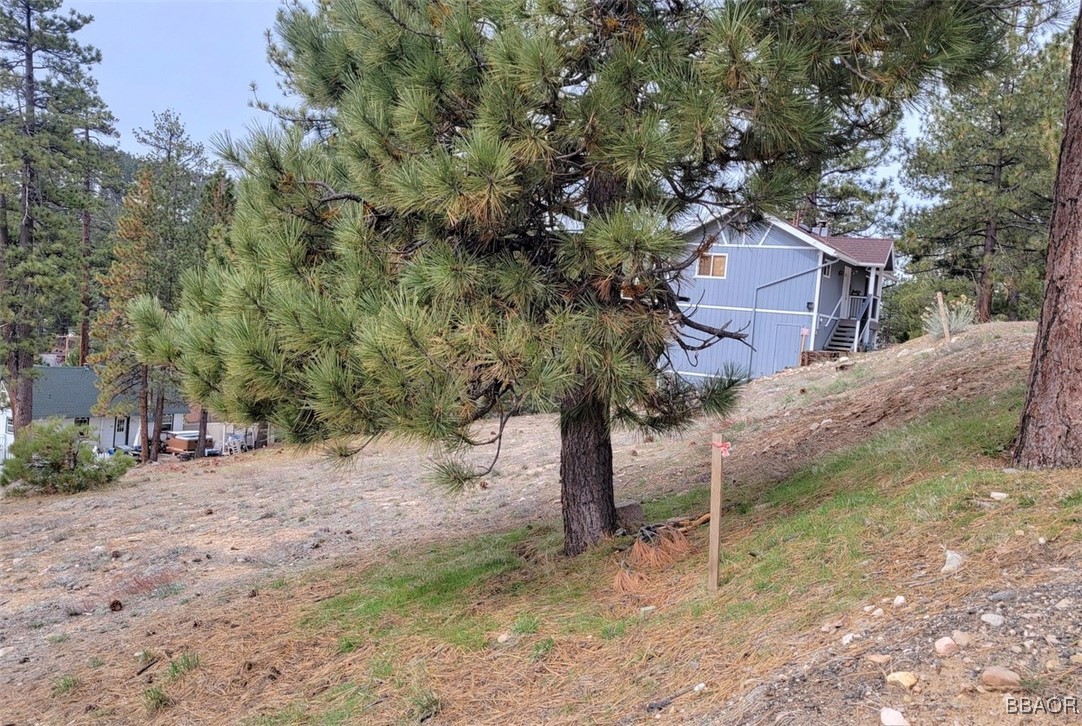 39243 Crest Lane Property Photo 5