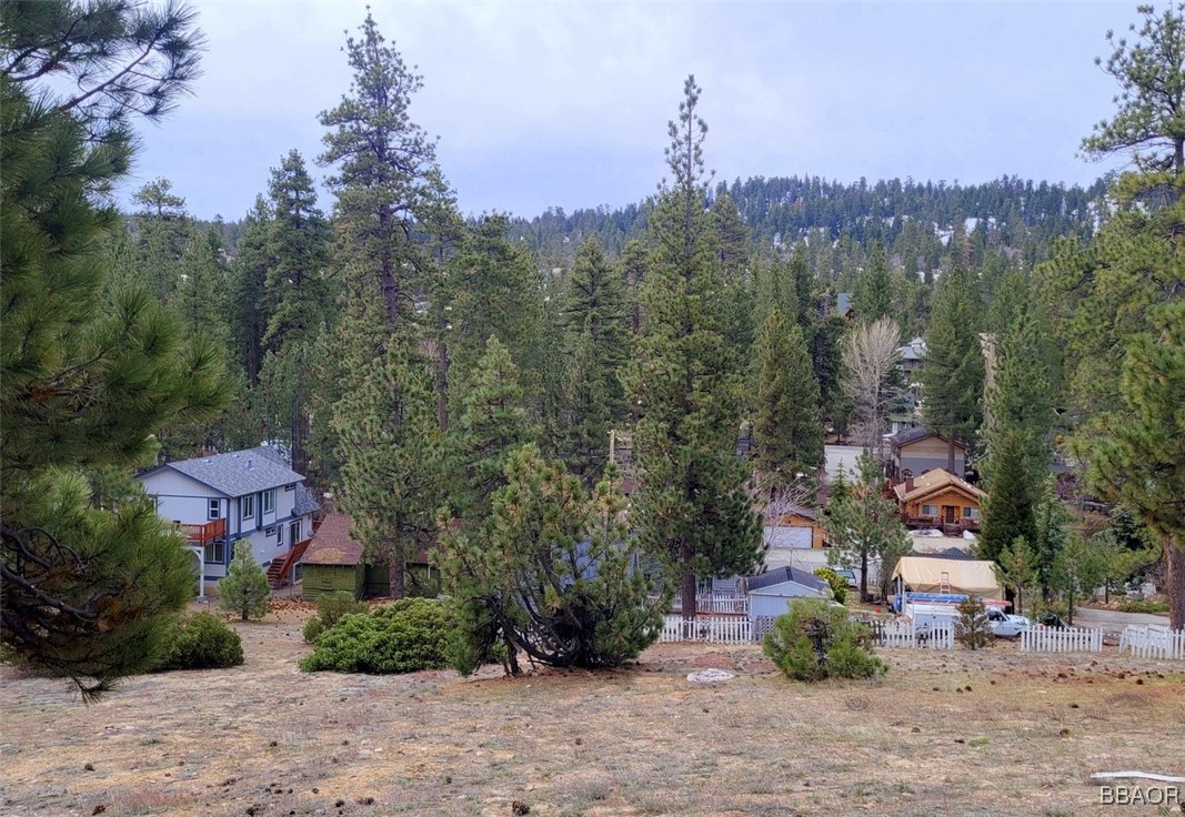 39243 Crest Lane Property Photo 9
