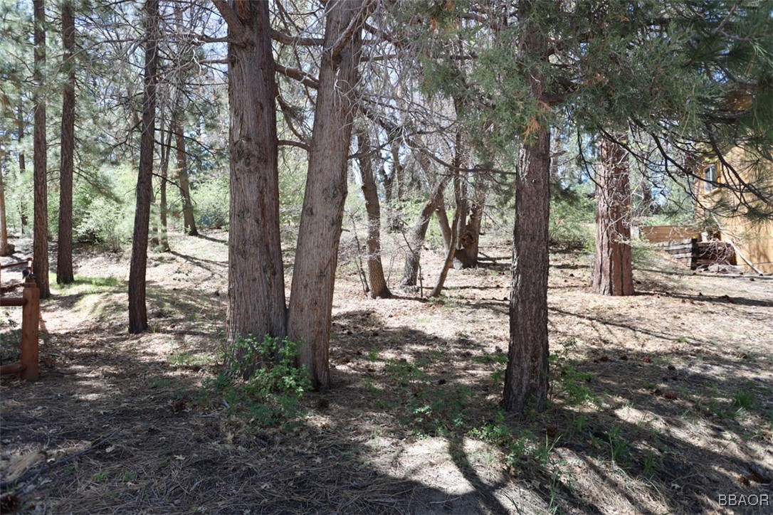 0 Avalon Property Photo 3