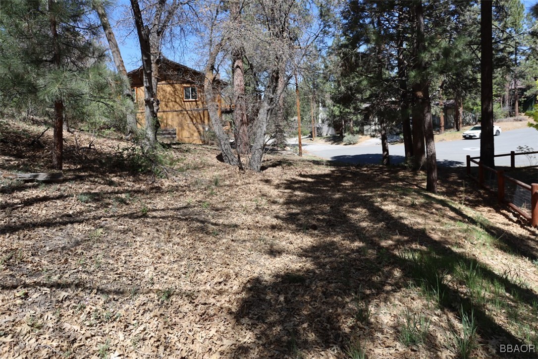 0 Avalon Property Photo 4