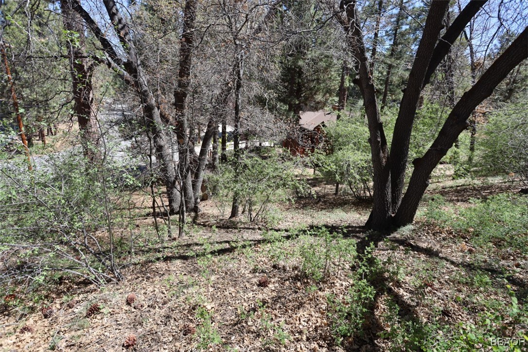 0 Avalon Property Photo 6