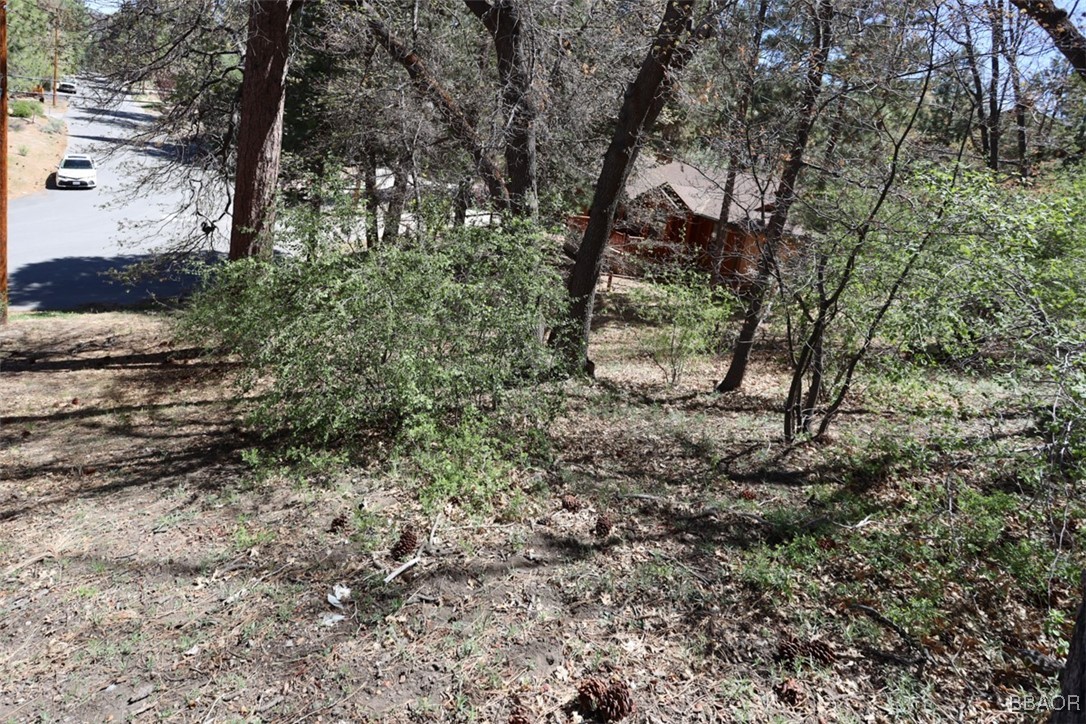 0 Avalon Property Photo 7