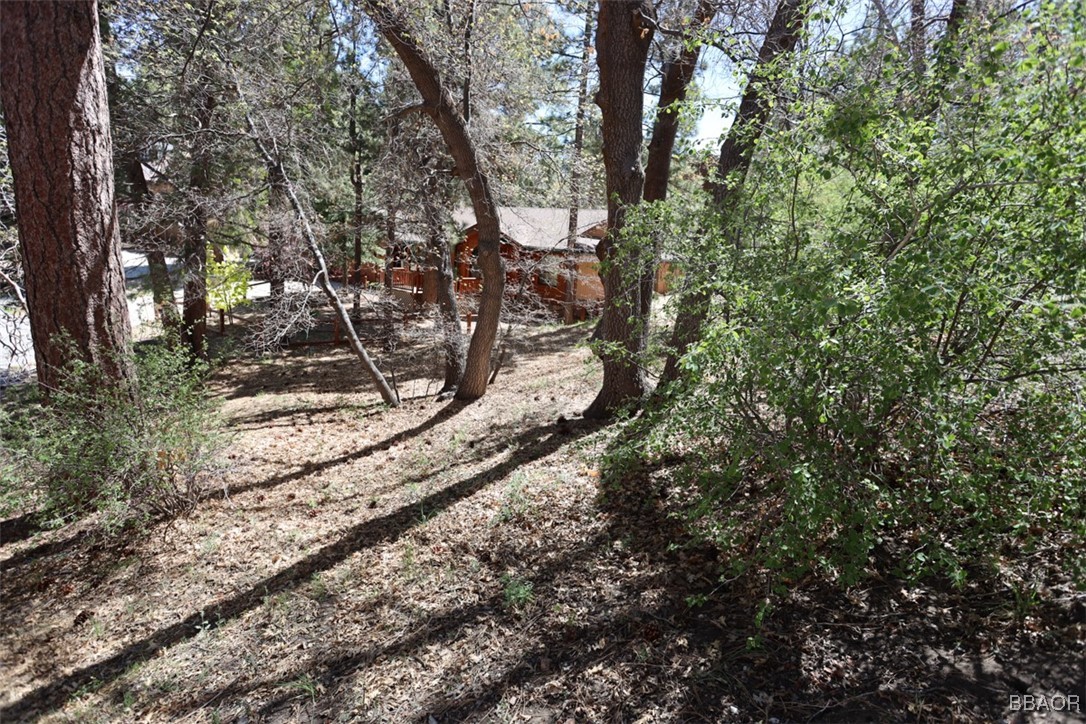 0 Avalon Property Photo 8